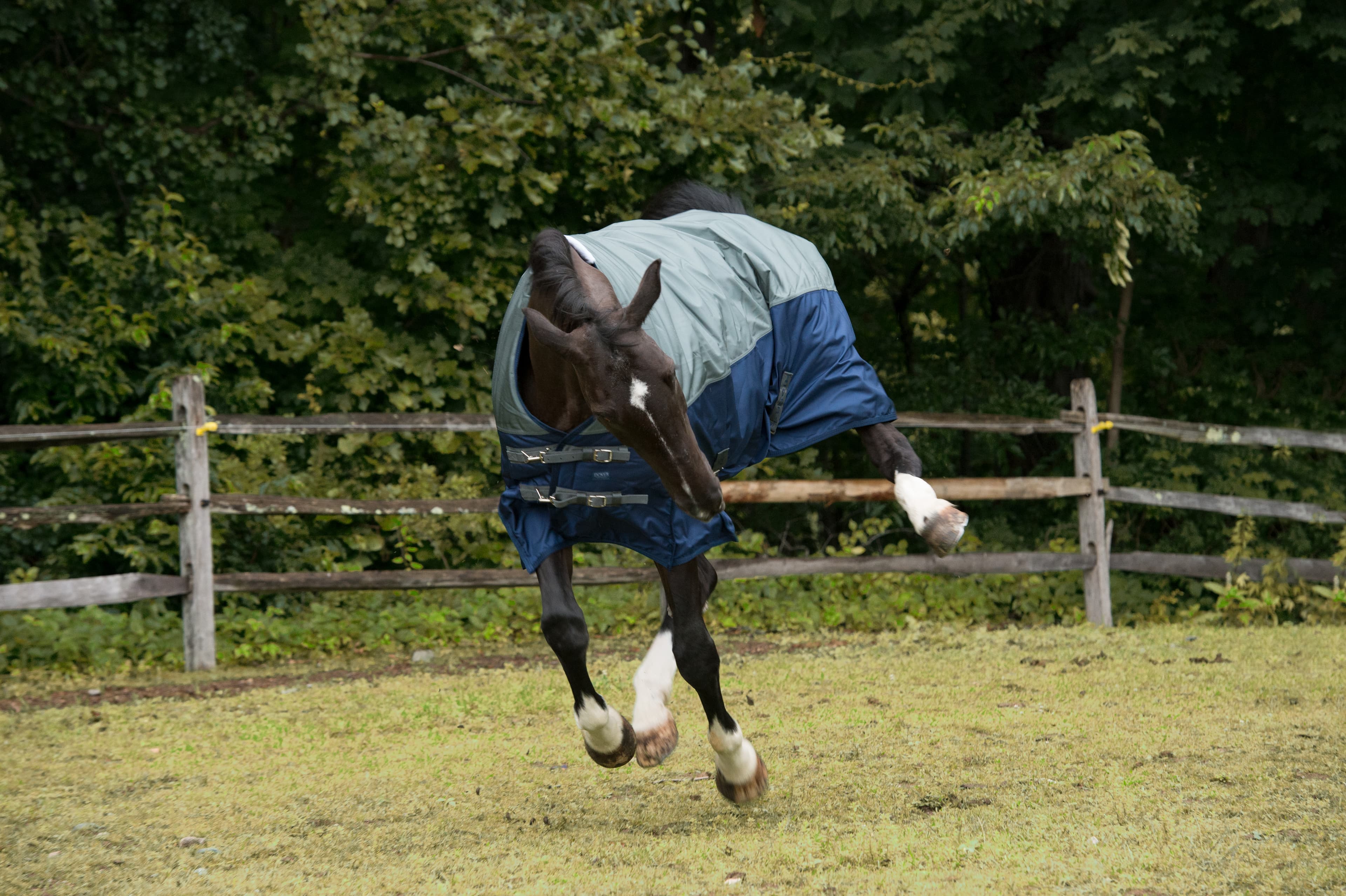 Edited portfolio image